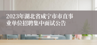 2023年湖北省咸宁市市直事业单位招聘集中面试公告