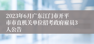 2023年6月广东江门市开平市市直机关单位招考政府雇员3人公告