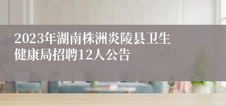 2023年湖南株洲炎陵县卫生健康局招聘12人公告