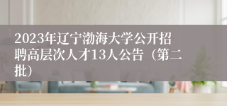 2023年辽宁渤海大学公开招聘高层次人才13人公告（第二批）