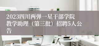 2023四川两弹一星干部学院教学助理（第三批）招聘5人公告