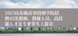 2023山东临沂市技师学院招聘45名教师、教辅人员、高技能人才及专业带头人简章