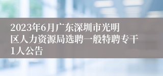 2023年6月广东深圳市光明区人力资源局选聘一般特聘专干1人公告