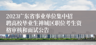 2023广东省事业单位集中招聘高校毕业生禅城区职位考生资格审核和面试公告