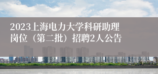 2023上海电力大学科研助理岗位（第二批）招聘2人公告