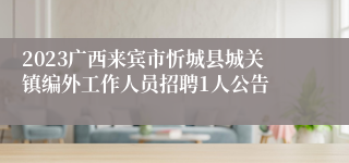 2023广西来宾市忻城县城关镇编外工作人员招聘1人公告