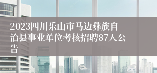 2023四川乐山市马边彝族自治县事业单位考核招聘87人公告