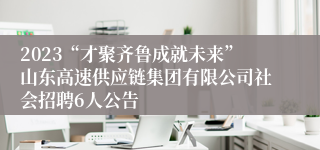 2023“才聚齐鲁成就未来”山东高速供应链集团有限公司社会招聘6人公告