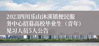 2023四川乐山沐溪镇便民服务中心招募高校毕业生（青年）见习人员5人公告