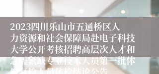 2023四川乐山市五通桥区人力资源和社会保障局赴电子科技大学公开考核招聘高层次人才和急需紧缺专业技术人员第一批体检复检人员体检结论公告