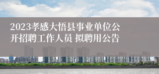 2023孝感大悟县事业单位公开招聘工作人员 拟聘用公告