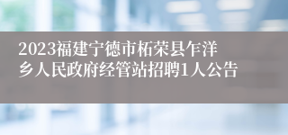 2023福建宁德市柘荣县乍洋乡人民政府经管站招聘1人公告