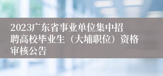 2023广东省事业单位集中招聘高校毕业生（大埔职位）资格审核公告