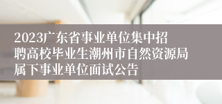 2023广东省事业单位集中招聘高校毕业生潮州市自然资源局属下事业单位面试公告