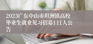 2023广东中山市坦洲镇高校毕业生就业见习招募111人公告