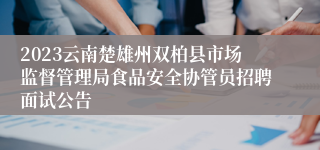 2023云南楚雄州双柏县市场监督管理局食品安全协管员招聘面试公告