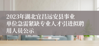 2023年湖北宜昌远安县事业单位急需紧缺专业人才引进拟聘用人员公示