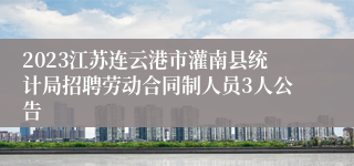 2023江苏连云港市灌南县统计局招聘劳动合同制人员3人公告