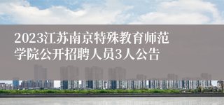 2023江苏南京特殊教育师范学院公开招聘人员3人公告