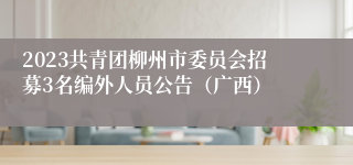 2023共青团柳州市委员会招募3名编外人员公告（广西）