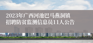 2023年广西河池巴马燕洞镇招聘防贫监测信息员11人公告