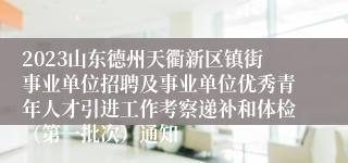 2023山东德州天衢新区镇街事业单位招聘及事业单位优秀青年人才引进工作考察递补和体检（第一批次）通知