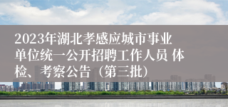 2023年湖北孝感应城市事业单位统一公开招聘工作人员 体检、考察公告（第三批）