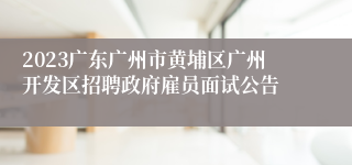 2023广东广州市黄埔区广州开发区招聘政府雇员面试公告
