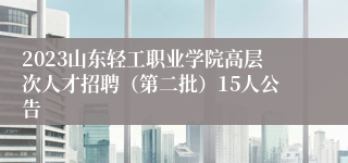 2023山东轻工职业学院高层次人才招聘（第二批）15人公告