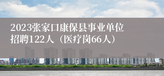 2023张家口康保县事业单位招聘122人（医疗岗66人）