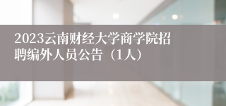 2023云南财经大学商学院招聘编外人员公告（1人）