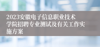 2023安徽电子信息职业技术学院招聘专业测试及有关工作实施方案