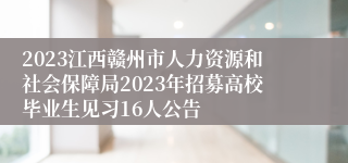 2023江西赣州市人力资源和社会保障局2023年招募高校毕业生见习16人公告