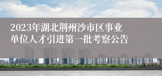 2023年湖北荆州沙市区事业单位人才引进第一批考察公告