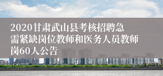 2020甘肃武山县考核招聘急需紧缺岗位教师和医务人员教师岗60人公告