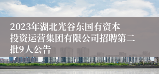 2023年湖北光谷东国有资本投资运营集团有限公司招聘第二批9人公告