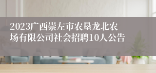 2023广西崇左市农垦龙北农场有限公司社会招聘10人公告