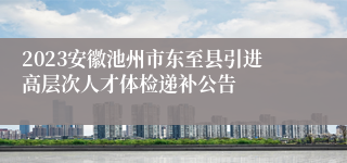 2023安徽池州市东至县引进高层次人才体检递补公告