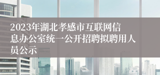 2023年湖北孝感市互联网信息办公室统一公开招聘拟聘用人员公示