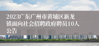 2023广东广州市黄埔区新龙镇面向社会招聘政府聘员10人公告