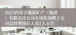 2023内蒙古地质矿产（集团）有限责任公司市场化选聘子公司总经理岗位人员1人公告