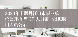 2023年十堰丹江口市事业单位公开招聘工作人员第一批拟聘用人员公示