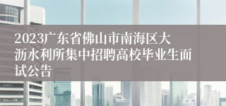 2023广东省佛山市南海区大沥水利所集中招聘高校毕业生面试公告