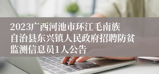 2023广西河池市环江毛南族自治县东兴镇人民政府招聘防贫监测信息员1人公告