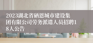 2023湖北省硒恩城市建设集团有限公司劳务派遣人员招聘18人公告