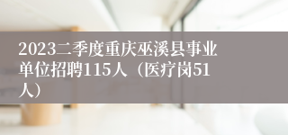 2023二季度重庆巫溪县事业单位招聘115人（医疗岗51人）