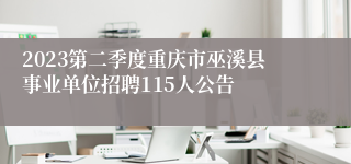 2023第二季度重庆市巫溪县事业单位招聘115人公告