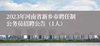 2023年河南省新乡市聘任制公务员招聘公告（1人）