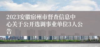 2023安徽宿州市督查信息中心关于公开选调事业单位3人公告