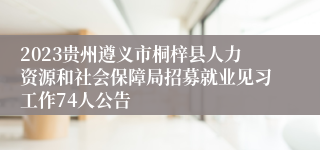 2023贵州遵义市桐梓县人力资源和社会保障局招募就业见习工作74人公告